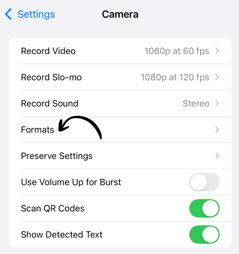 Camera formats screen