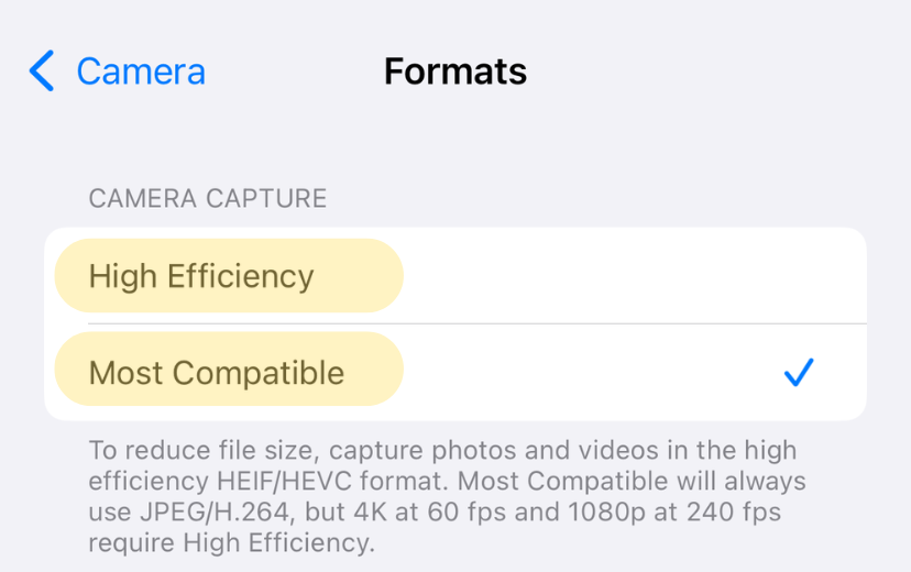 Camera formats screen