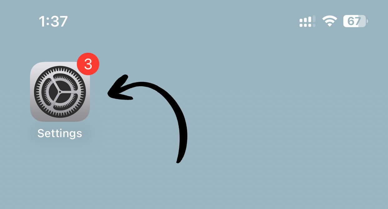 Settings icon on home screen