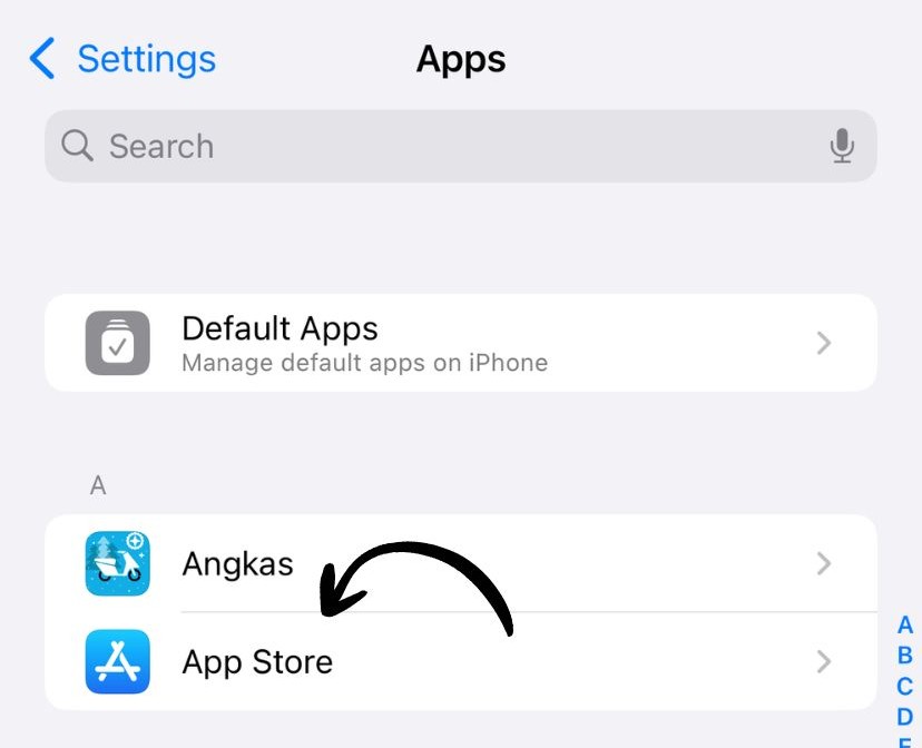App Store in Settings